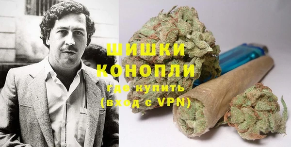 гидра Алексеевка