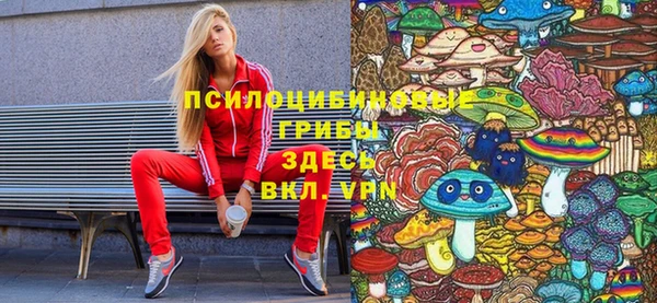 амф Алзамай