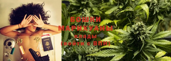 гидра Алексеевка