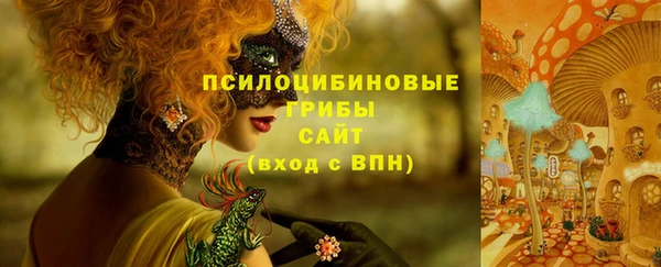 амф Алзамай
