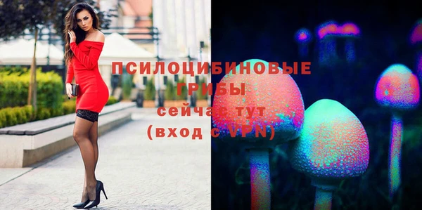 амф Алзамай