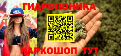 apvp Канаш