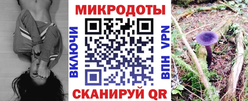 Галлюциногенные грибы GOLDEN TEACHER  Ярцево 