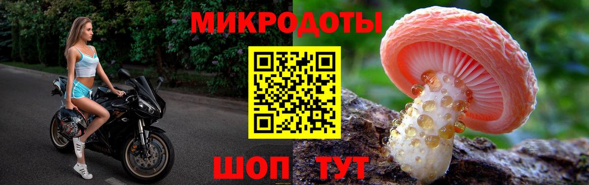 Ярцево  Псилоцибиновые грибы прущие грибы  Вход с VPN 