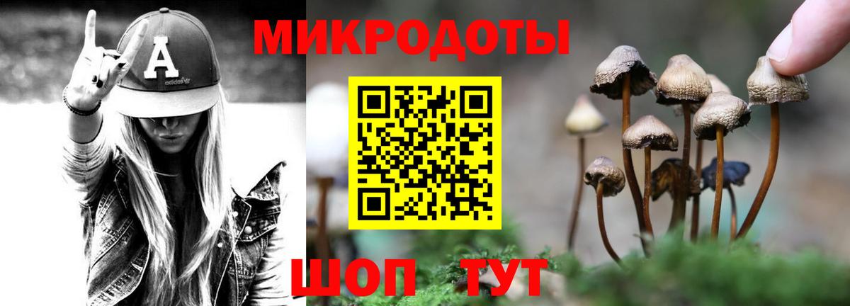 Галлюциногенные грибы Psilocybe Ярцево